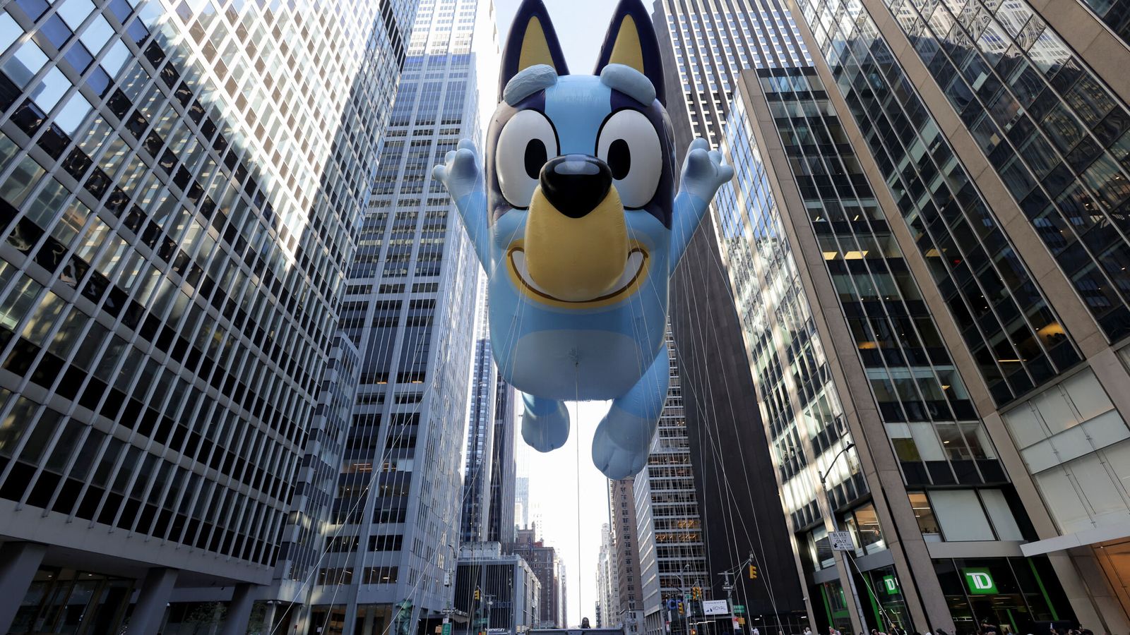 Fenómeno Bluey la serie para niños que alucina a los padres y es una