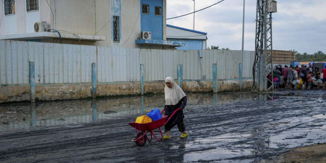 Les Conditions De Vie Insalubres Gaza Lautre Visage Du Cataclysme