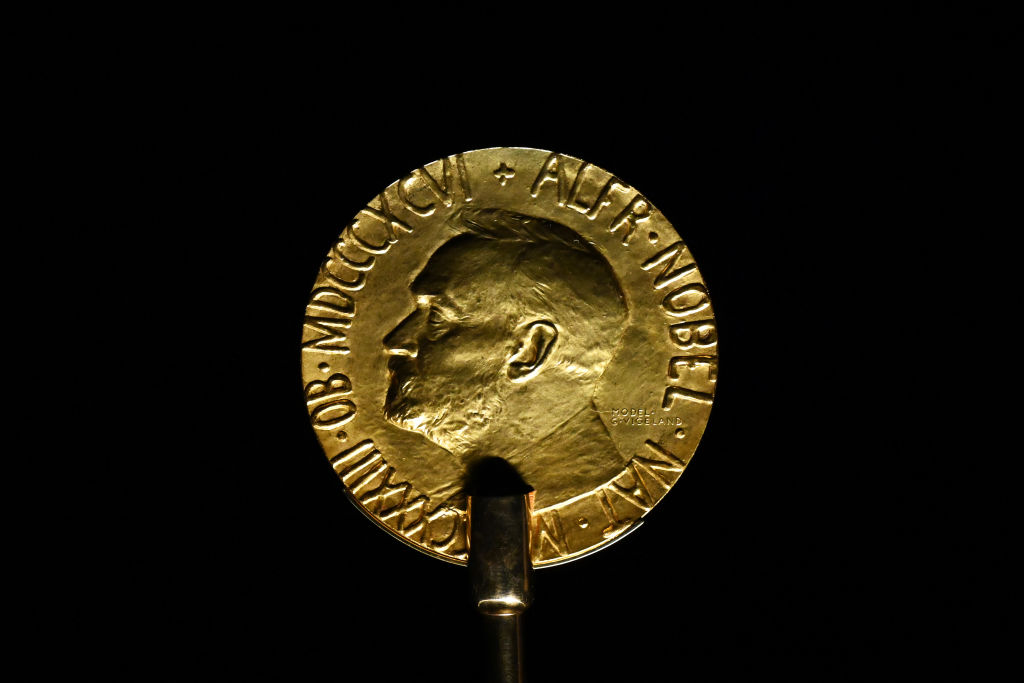 Here Are the Favorites to Win the 2024 Nobel Peace Prize