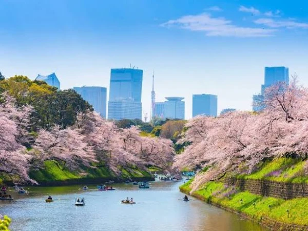 Which cities in the world are recognized as the most comfortable?