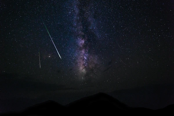 Where to Best See the Perseid Meteor Shower in Riga: The University of Latvia Botanical Garden Prepares a Special Night Program
