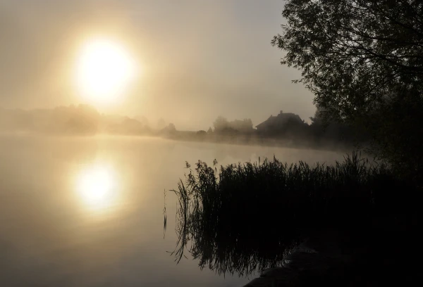 Latvia Weather Forecast: Dense Fog and Warm Temperatures Expected Tuesday
