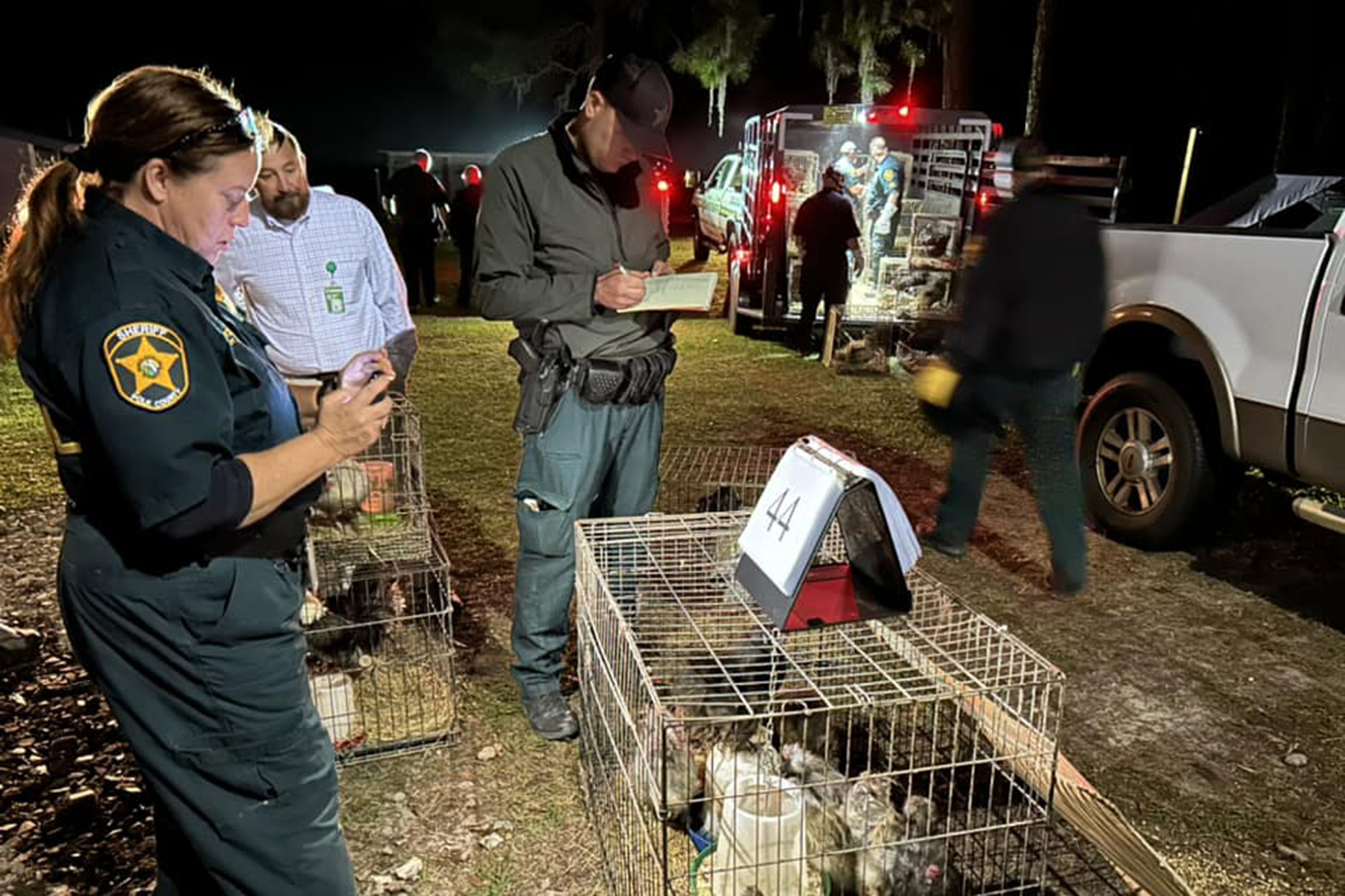 ‘Overwhelmed’ Florida woman, 75, arrested after 309 animals seized from ...