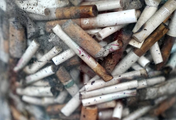 can i flush cigarettes 12 Things You Should Never What not to flush: