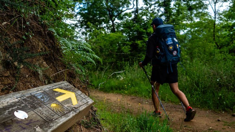 Civil Guard searches for a woman and her granddaughter missing in Asturias