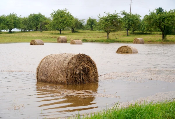 Photo: Inbox Lettonie : l'été 2026 enregistre un niveau de pluie inédit en dix ans