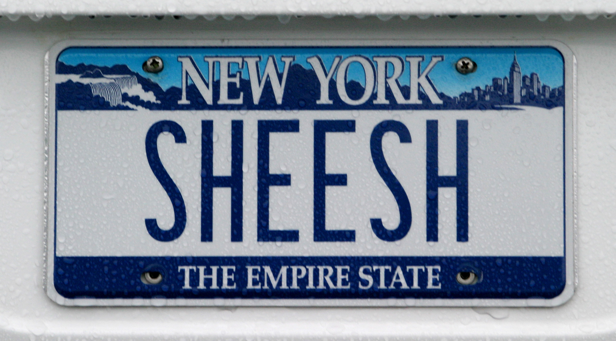 Here are the rude, vulgar and offensive license plates rejected by