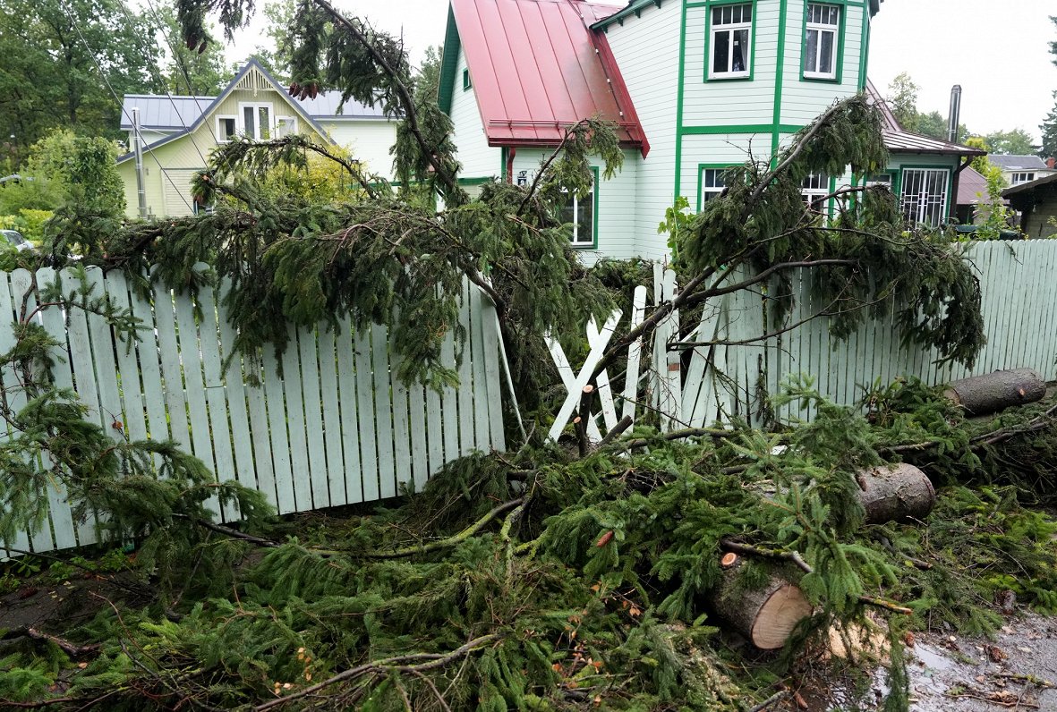 Insurance claims begin to be filed following storm