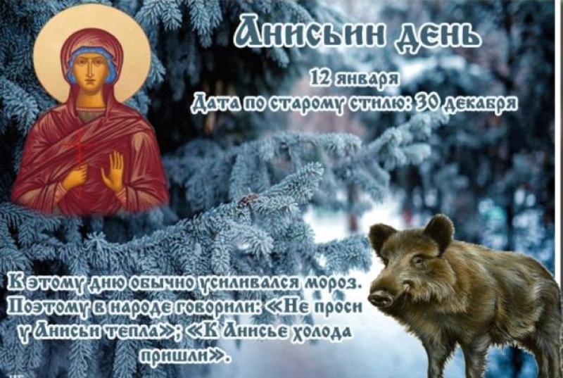 Приметы на 12. Анисьин день 12 января. По народному календарю - Анисьин день. Анисьин день народный календарь. Праздник православный 12 ягваряянваря.