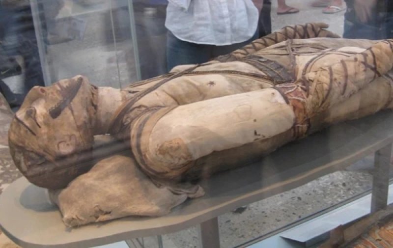 Drug-Addicted Mummies: What Was Found in the Dried Remains of Ancient  Egyptians
