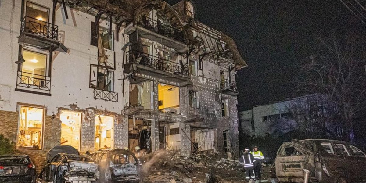 Revolution! Niederländische Tulpennetze Verändern Die Luftabwehr Für Immer! - q0my8yk