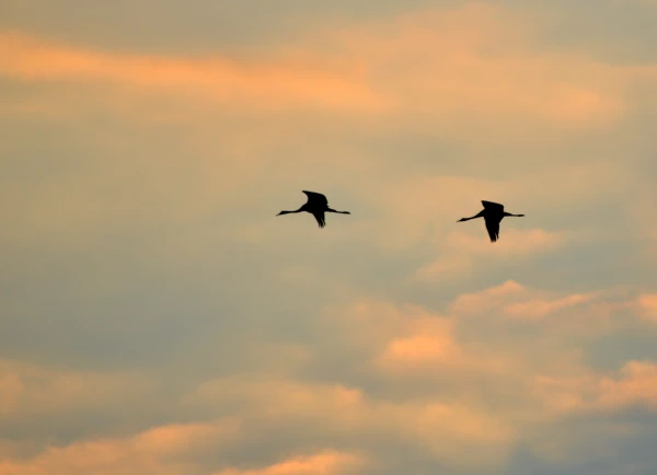 Photo: news.inbox.lv Latvia Weather Forecast: Rain and Fog Followed by Warmth up to 20°C