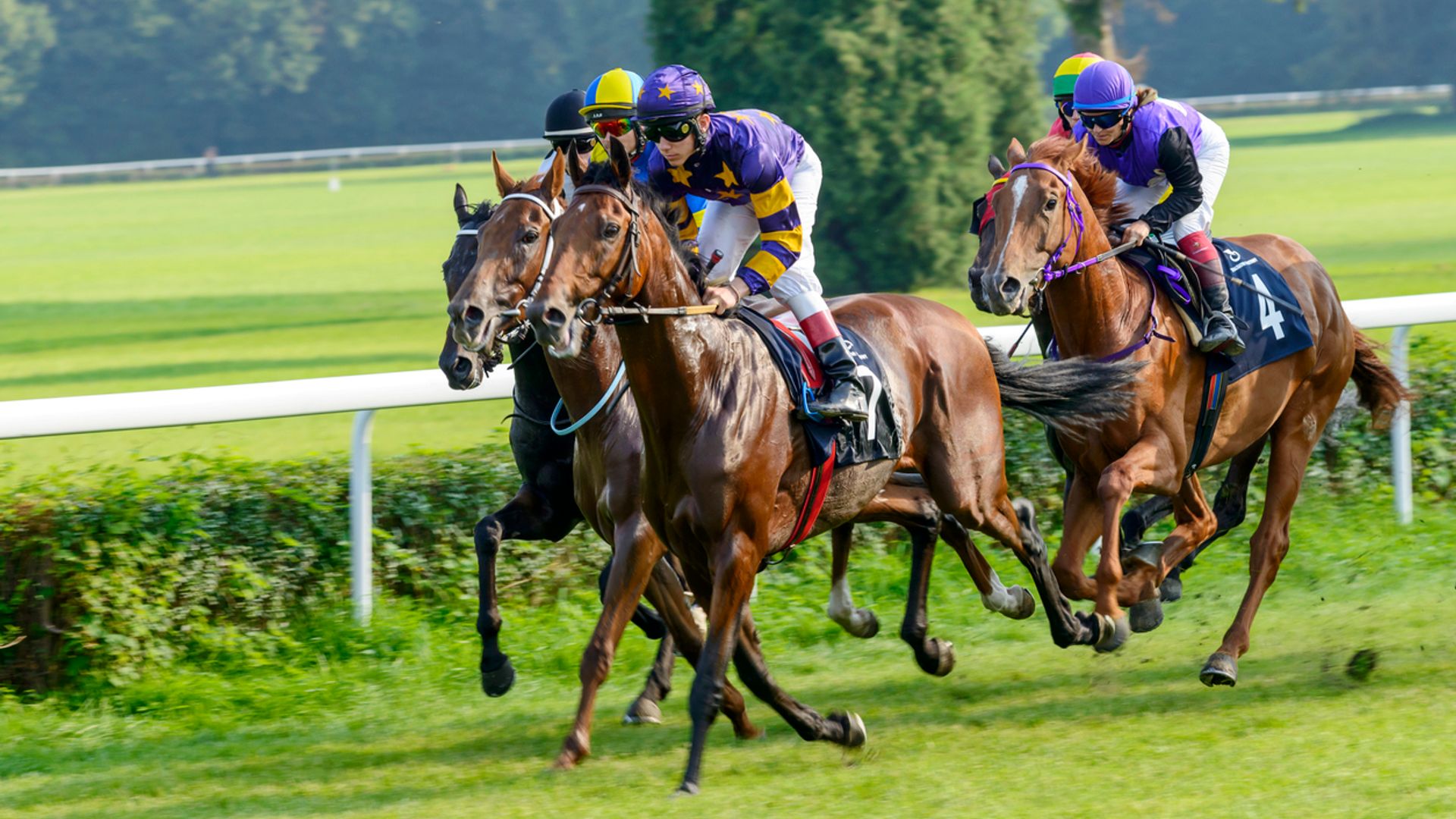Online gambling group BetGoodwin eyes punt on £80m London float - Sky News